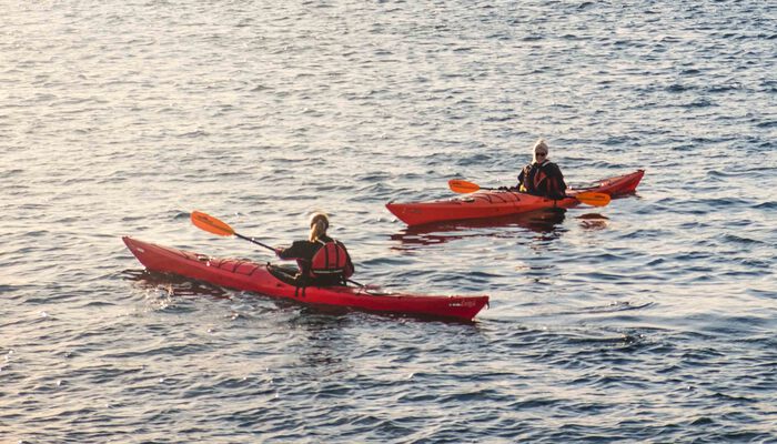 Result 2 Hour Kayak Tour